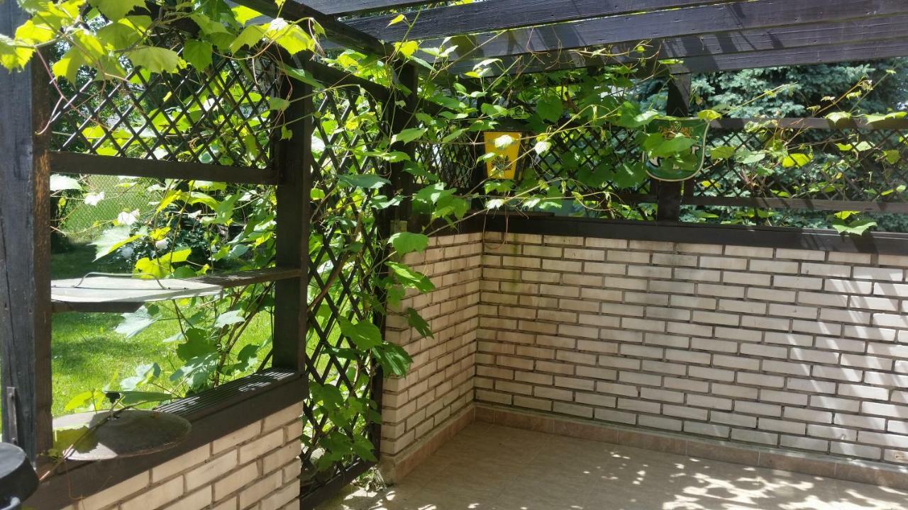 Swinna - Brzozowy Zagajnik Exteriér fotografie