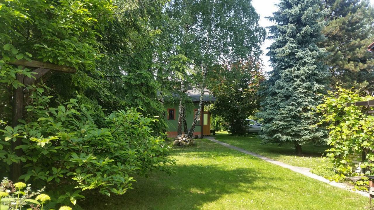 Swinna - Brzozowy Zagajnik Exteriér fotografie