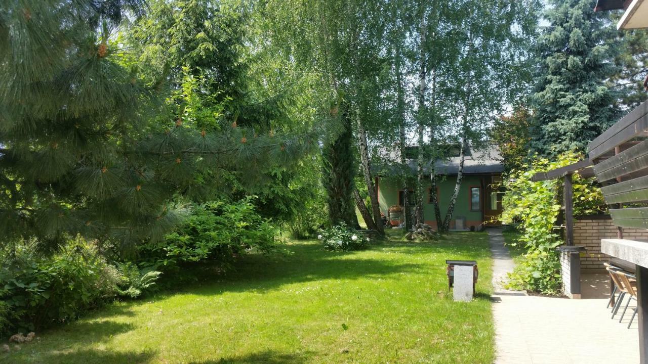 Swinna - Brzozowy Zagajnik Exteriér fotografie