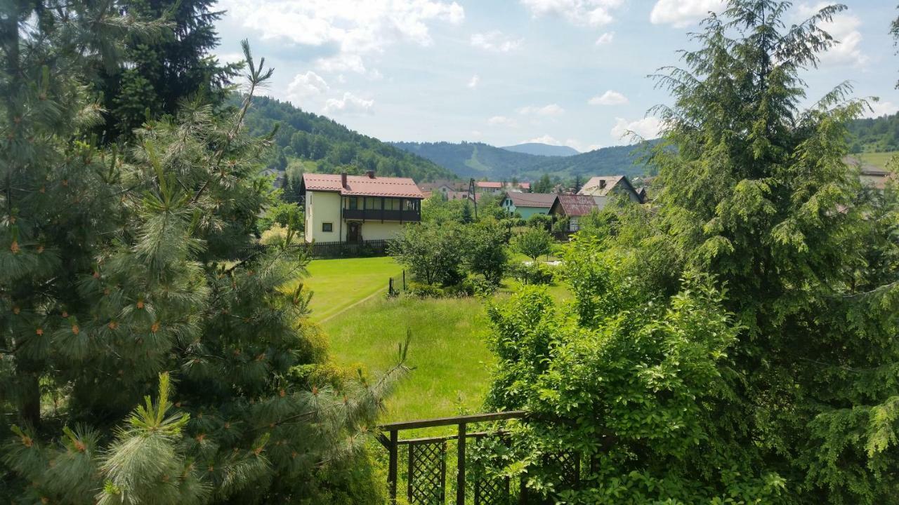 Swinna - Brzozowy Zagajnik Exteriér fotografie