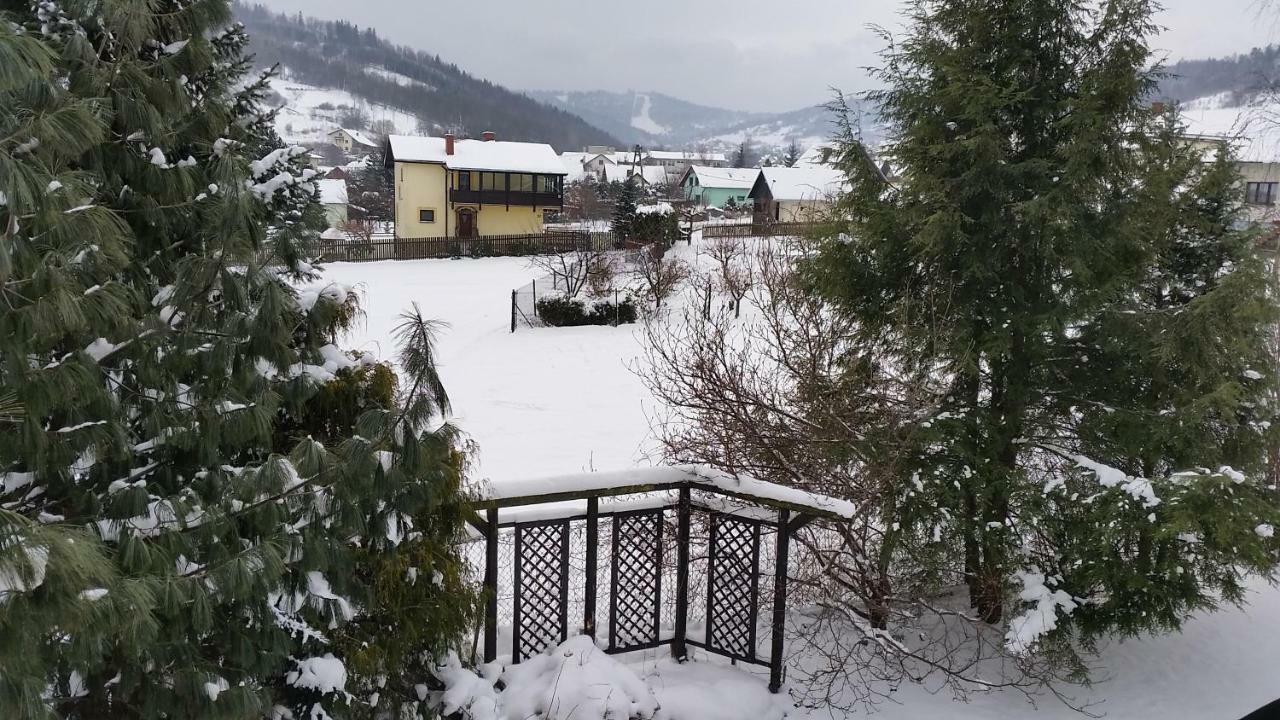 Swinna - Brzozowy Zagajnik Exteriér fotografie