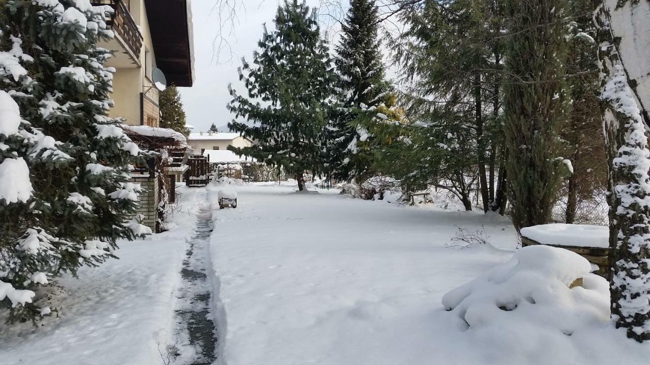 Swinna - Brzozowy Zagajnik Exteriér fotografie